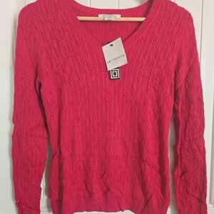 Liz Claiborne Women's Vibrant V-Neck Sweater